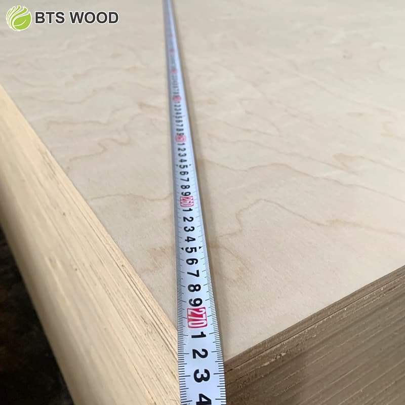 birch plywood price